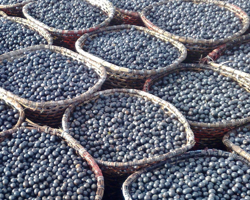 acai bessen