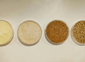 wat zijn gluten eigenlijk fitplein.nl
