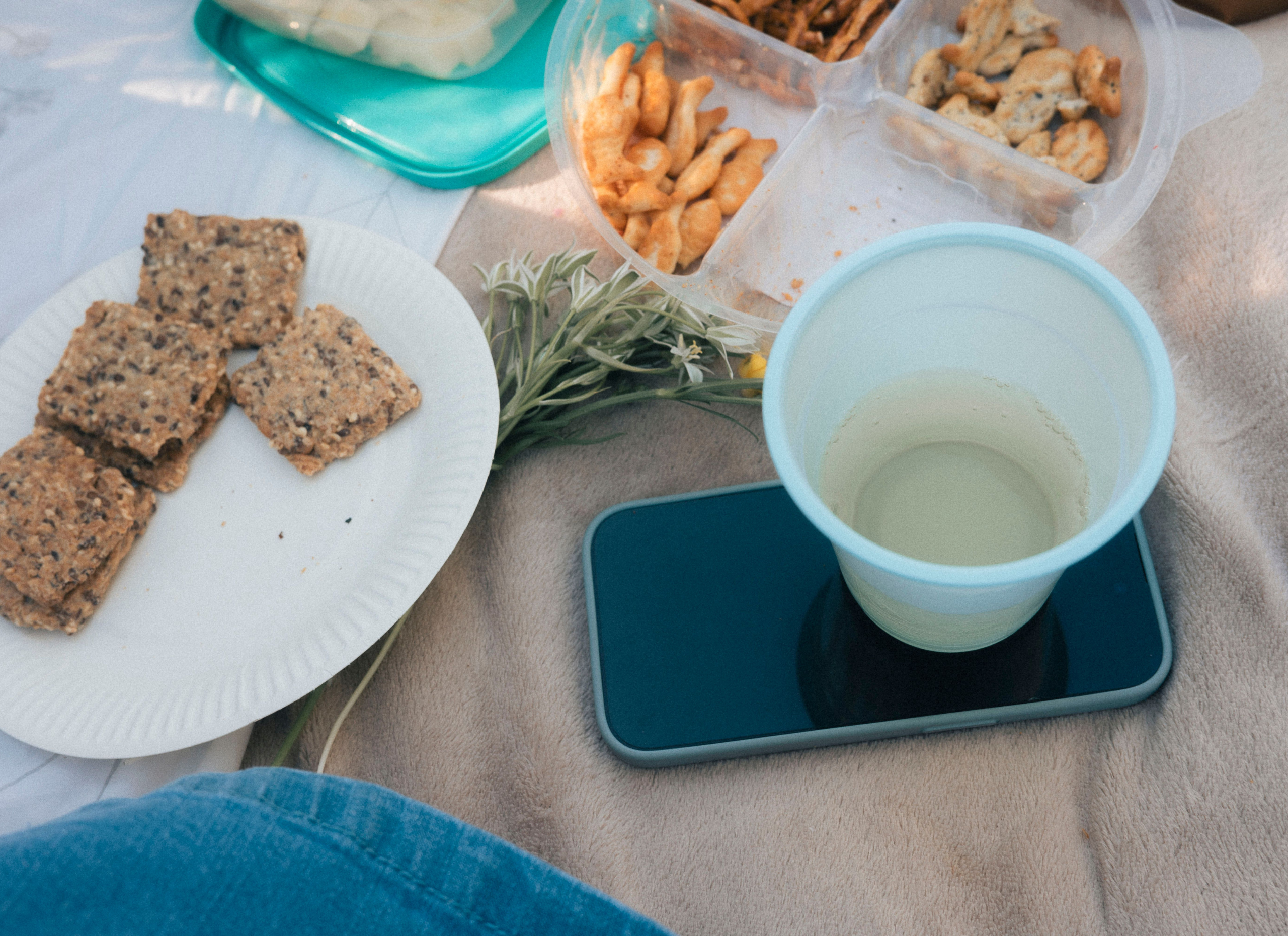 verantwoorde snacks voor zomerse trek fitplein.nl